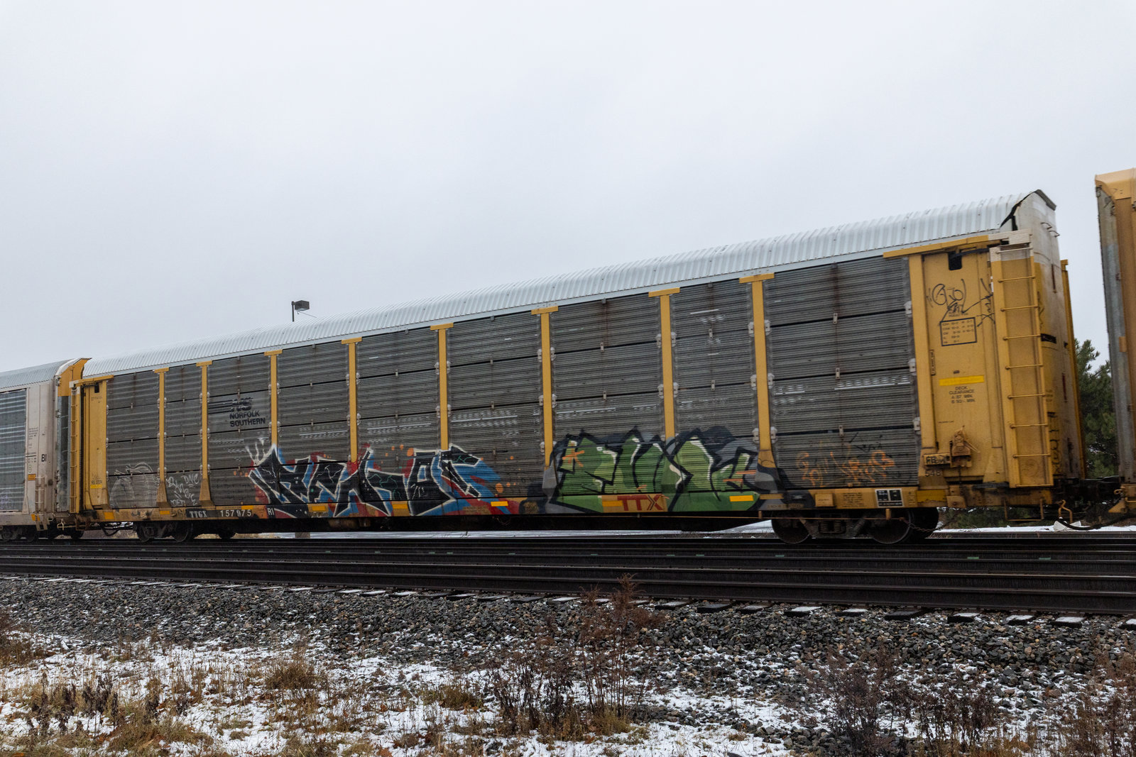 TTGX 157975