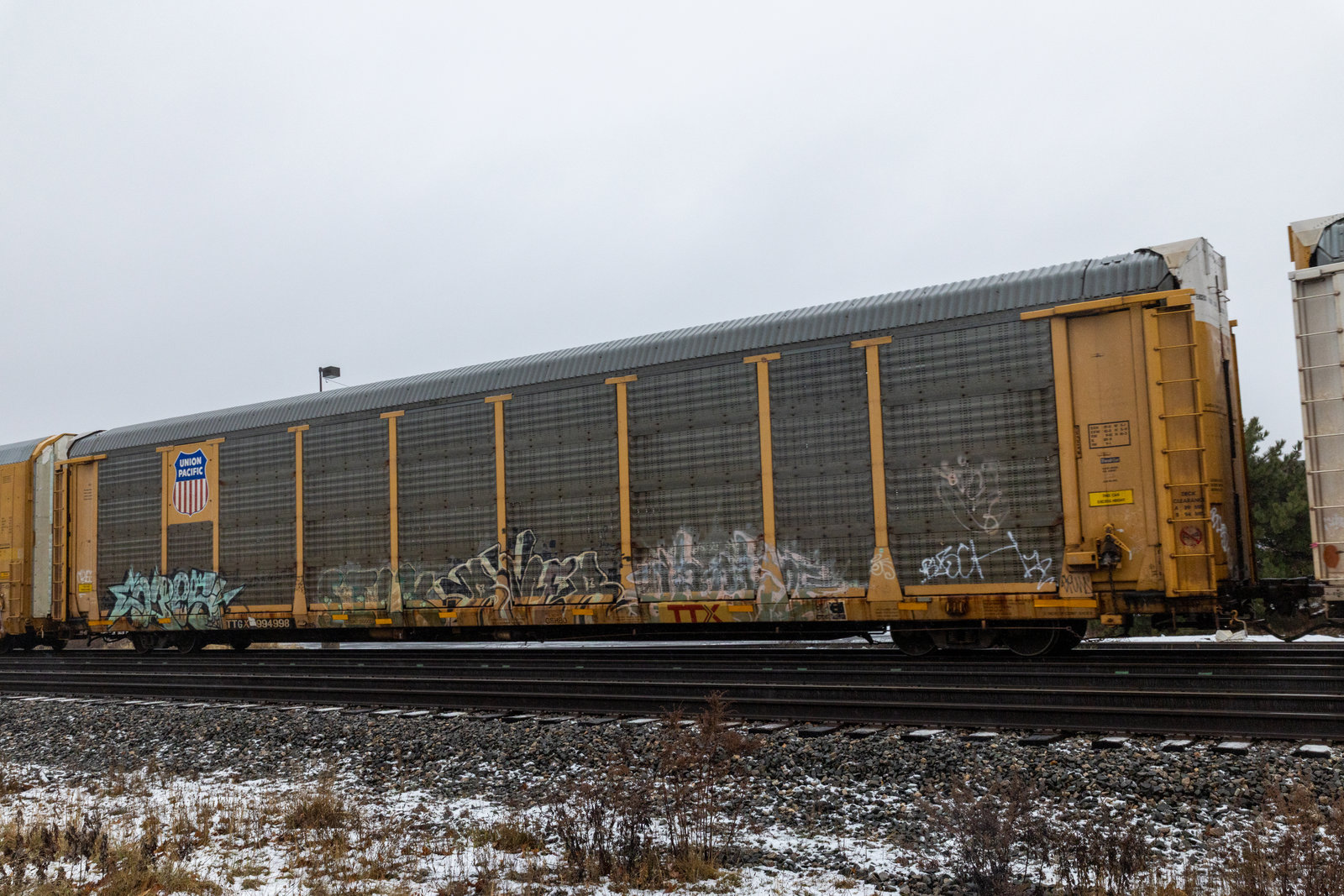TTGX 994998