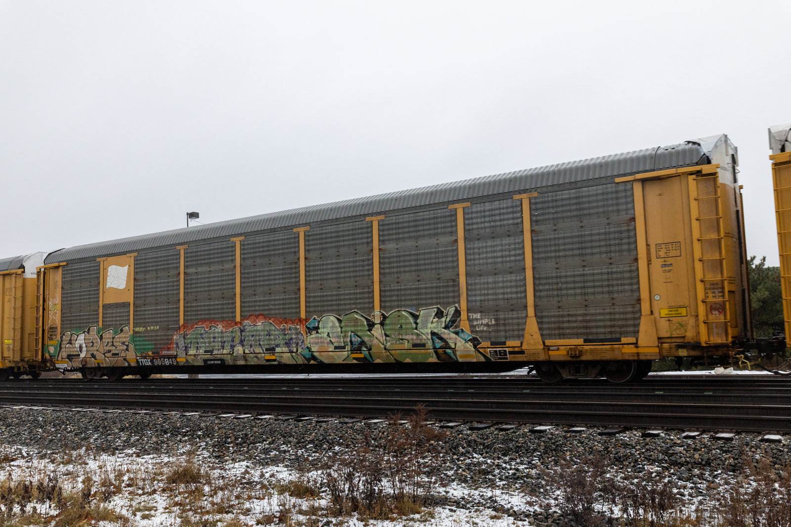 TTGX 995849