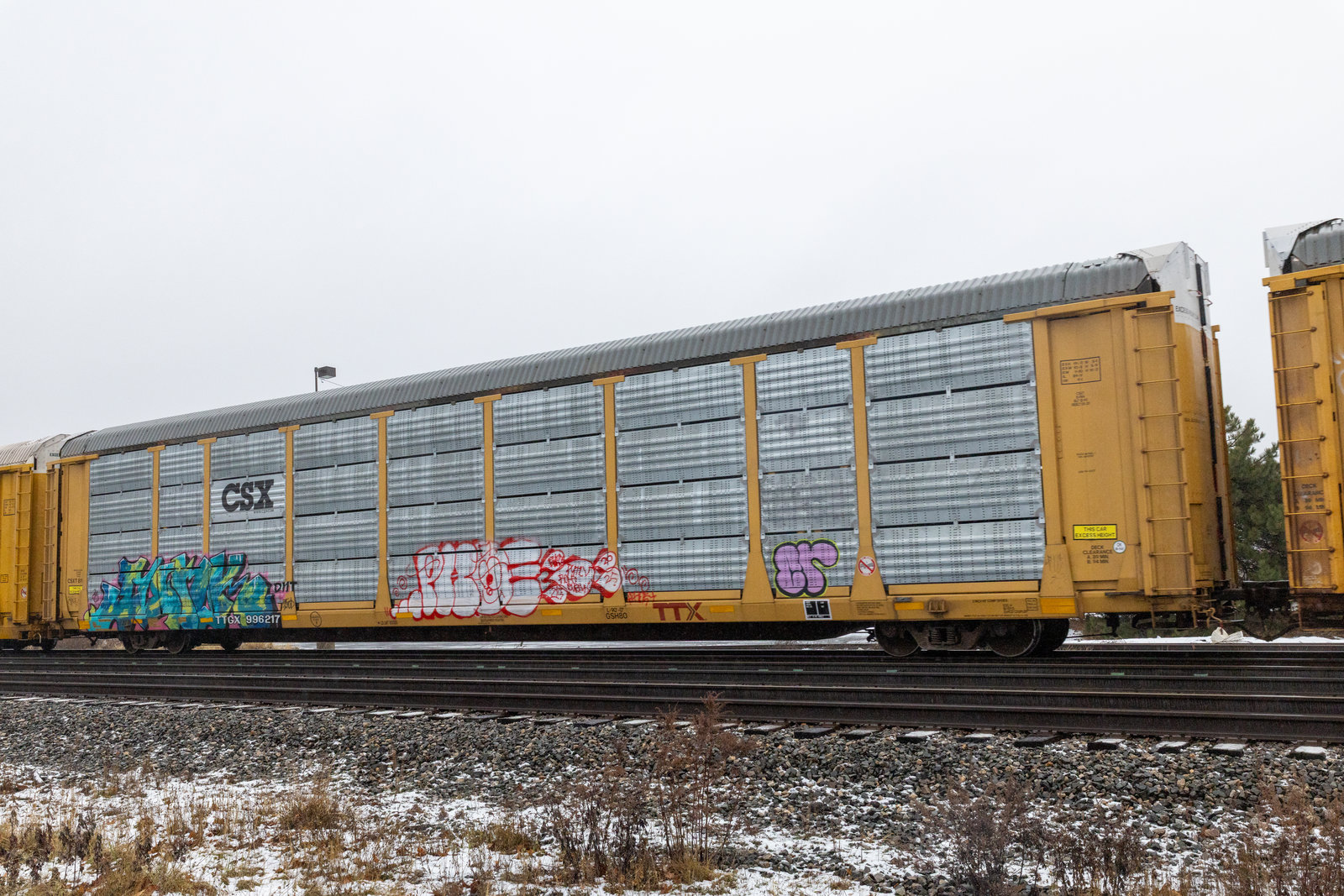 TTGX 996217