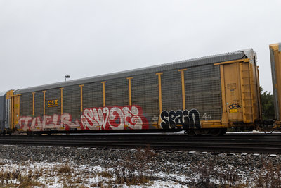 TTGX 994179