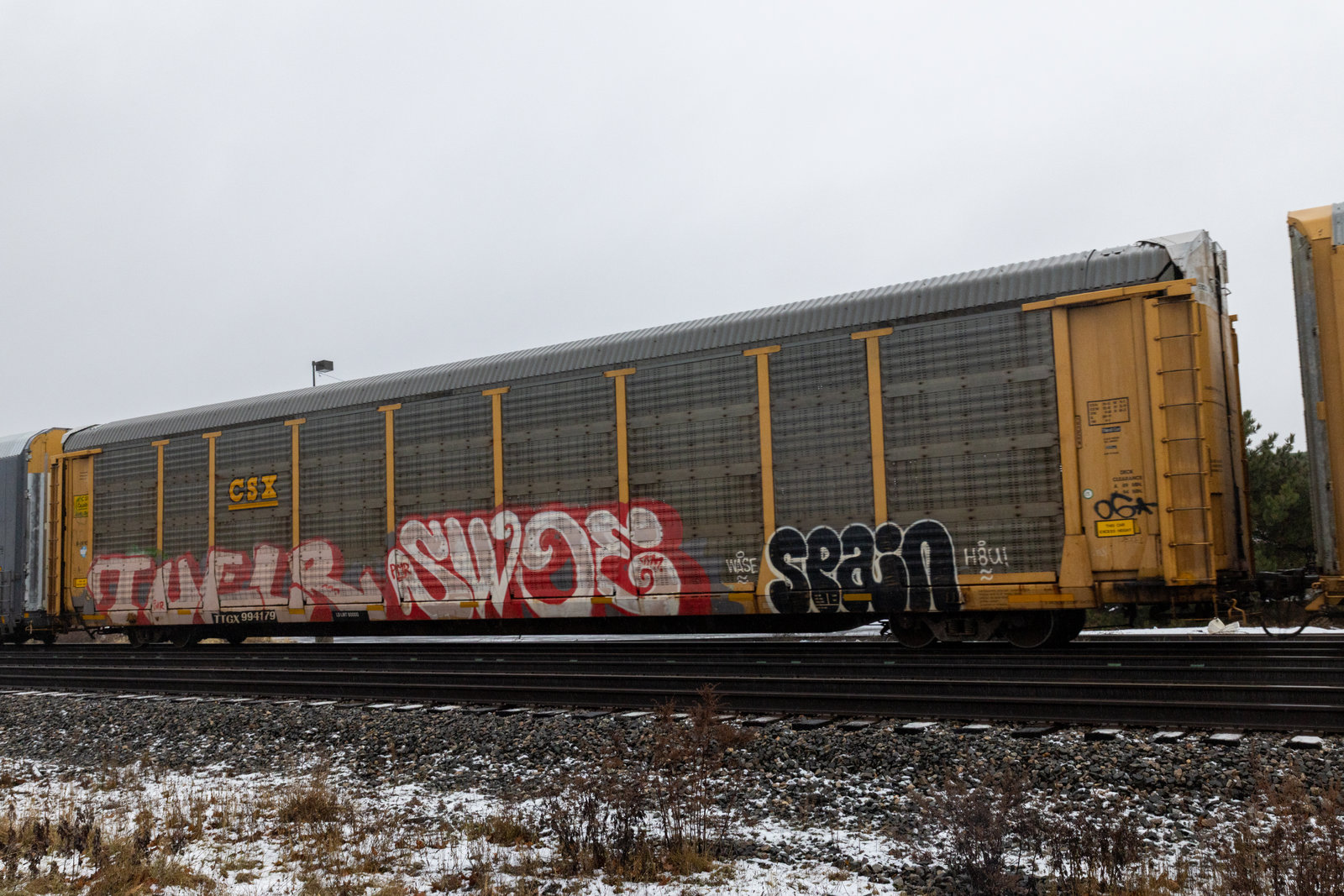 TTGX 994179