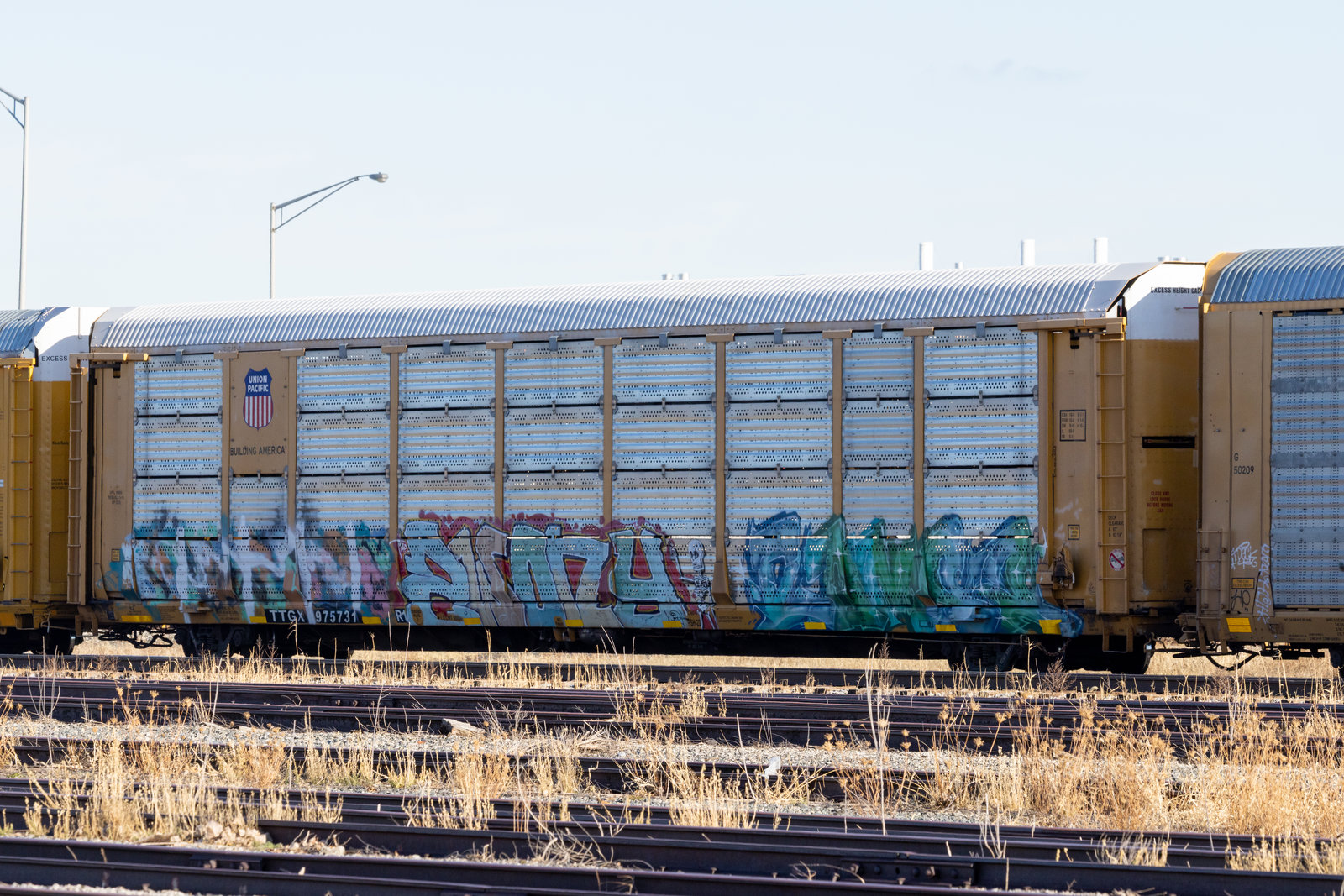 TTGX 975731