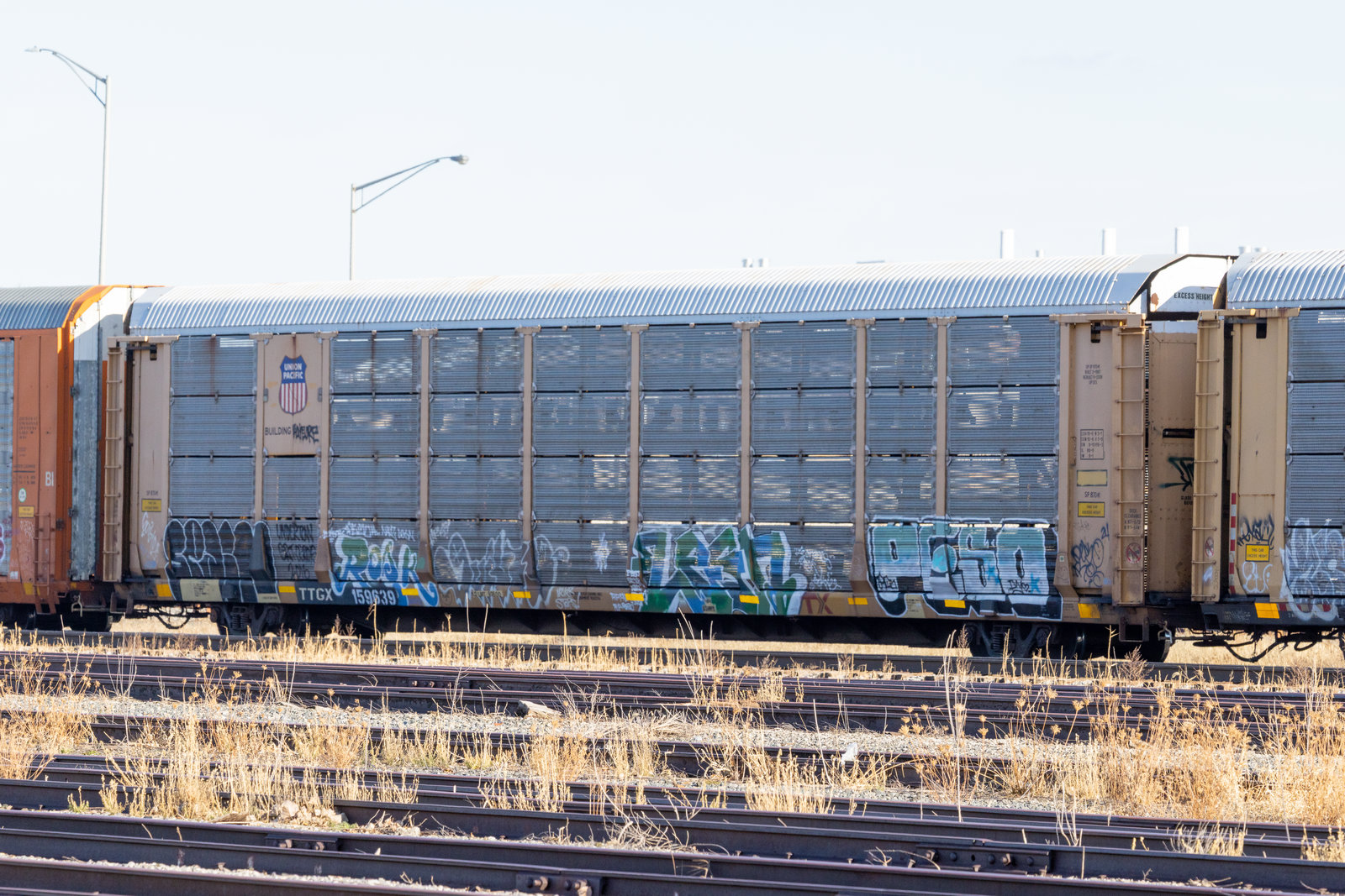 TTGX 159639