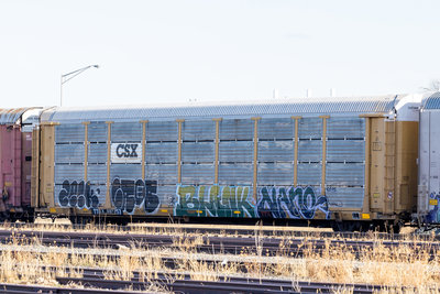 TTGX 987257