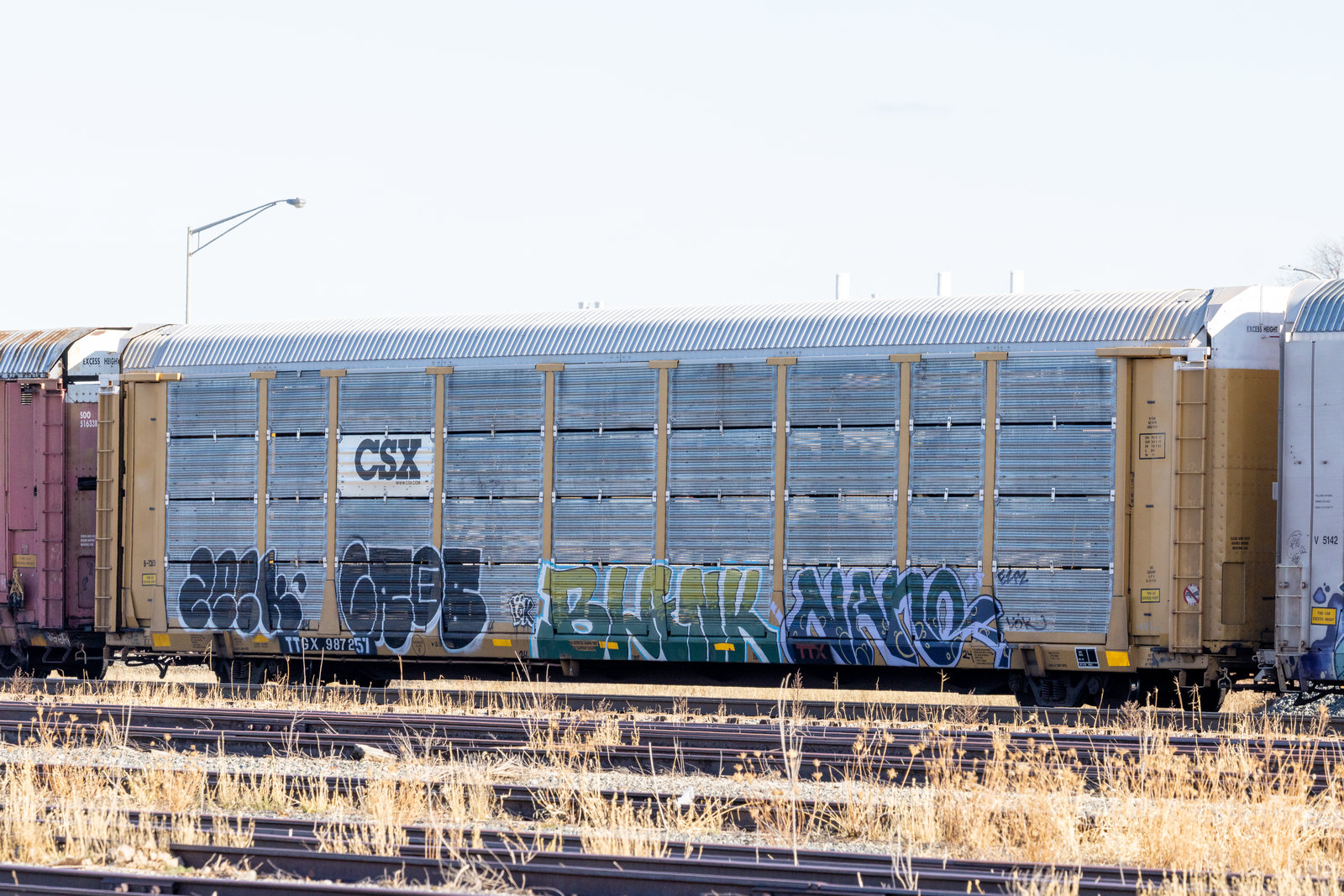 TTGX 987257