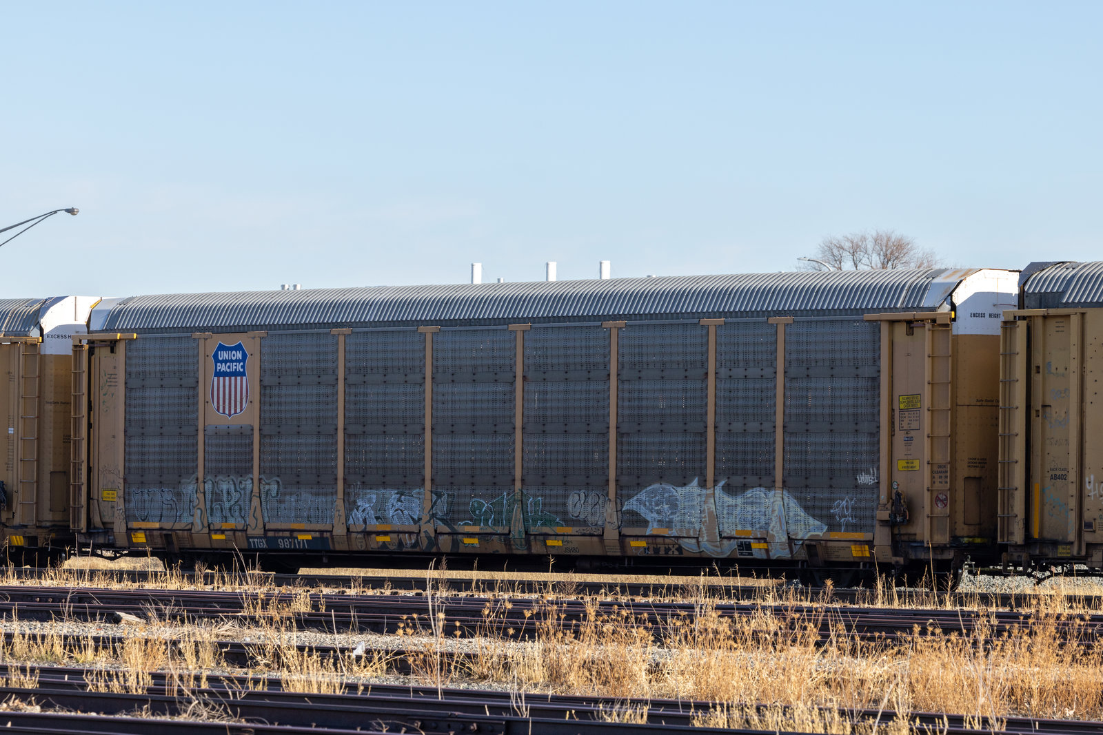 TTGX 987171