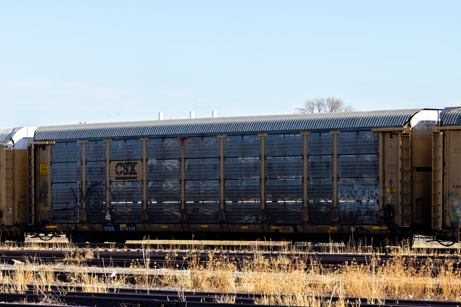 TTGX 979119
