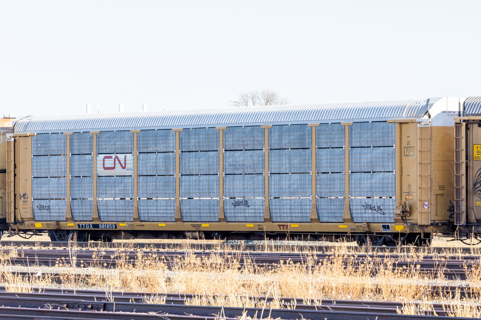 TTGX 981859
