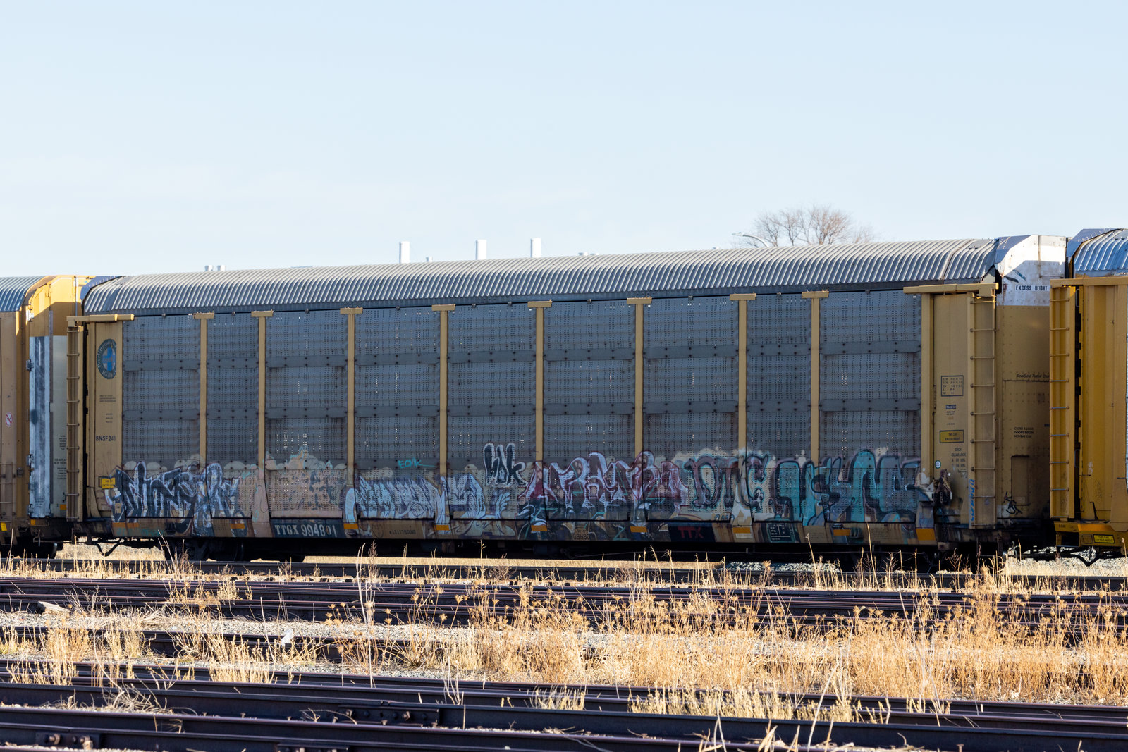 TTGX 994801
