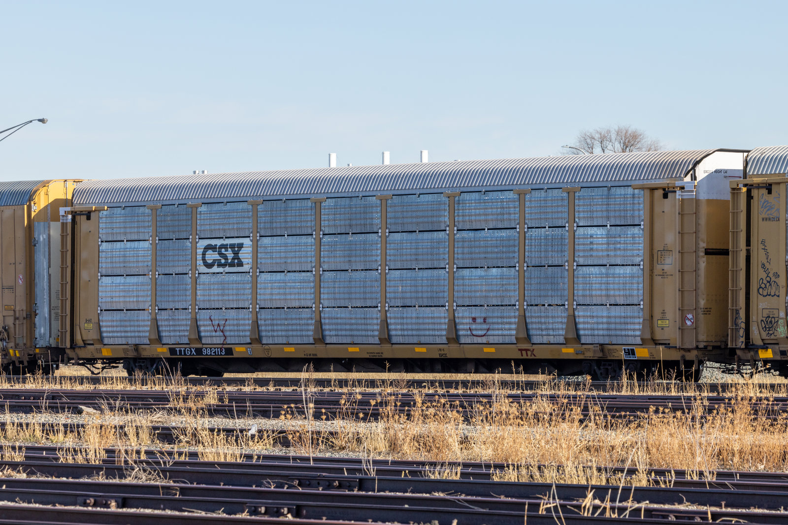 TTGX 982113