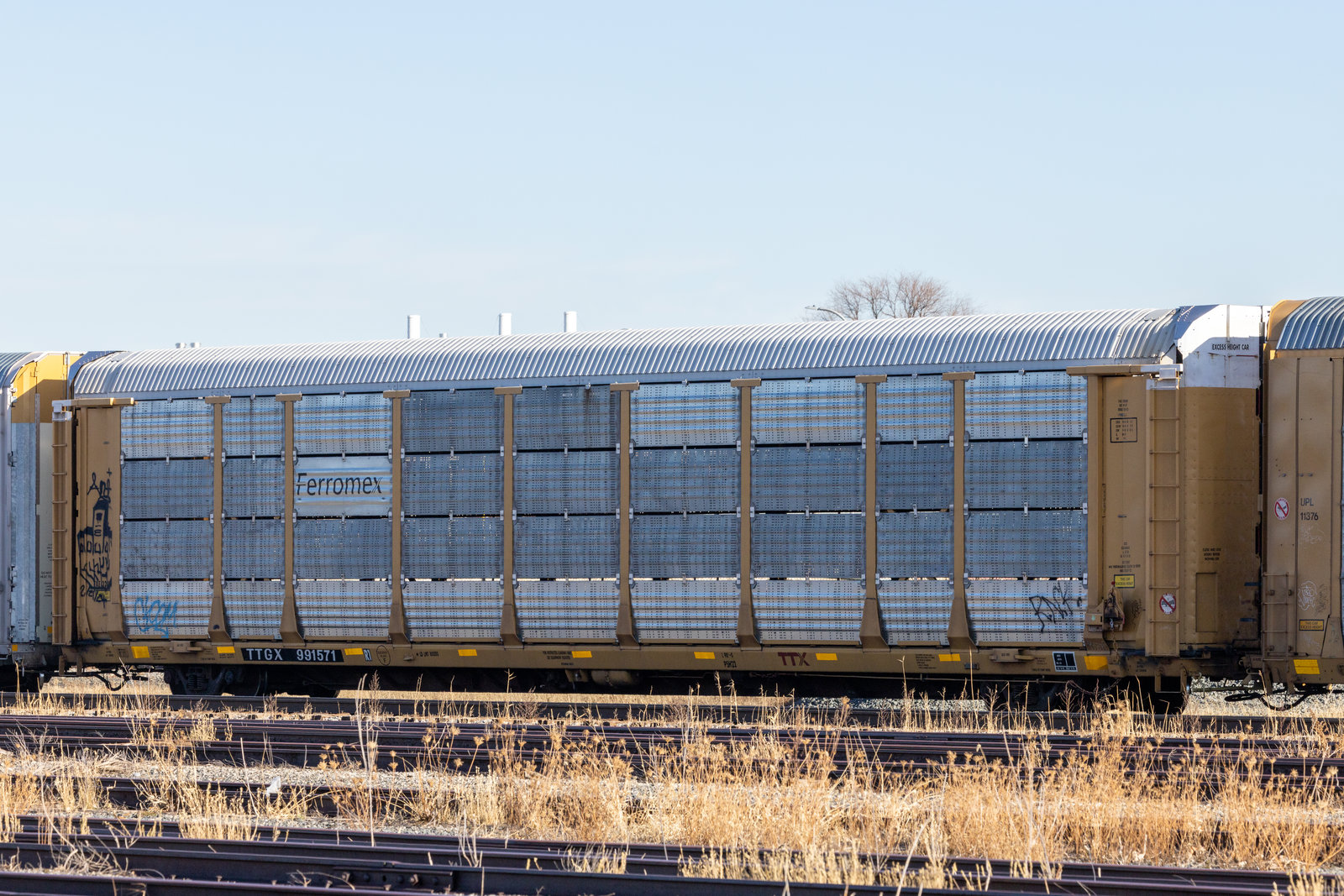 TTGX 991571