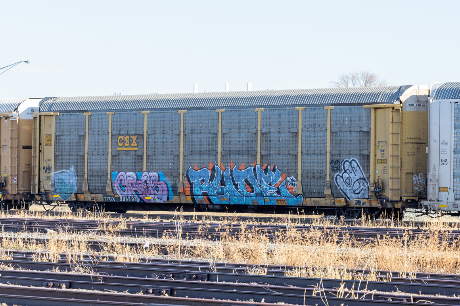 TTGX 993593