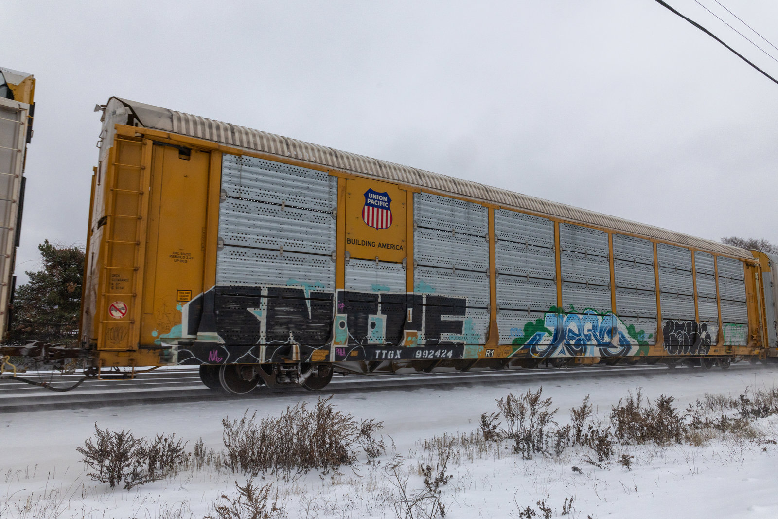 TTGX 992424