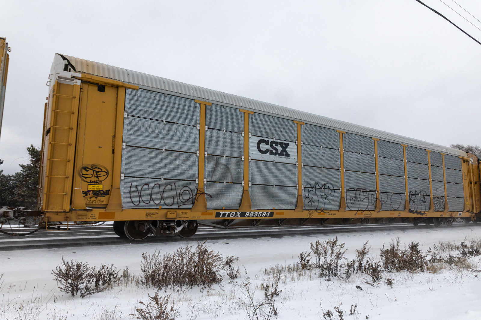 TTGX 983594