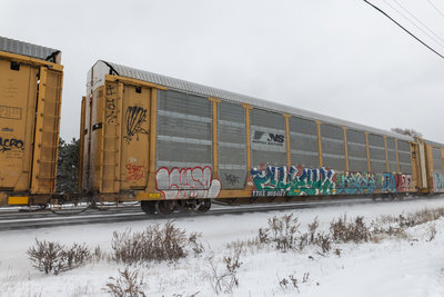 TTGX 965027