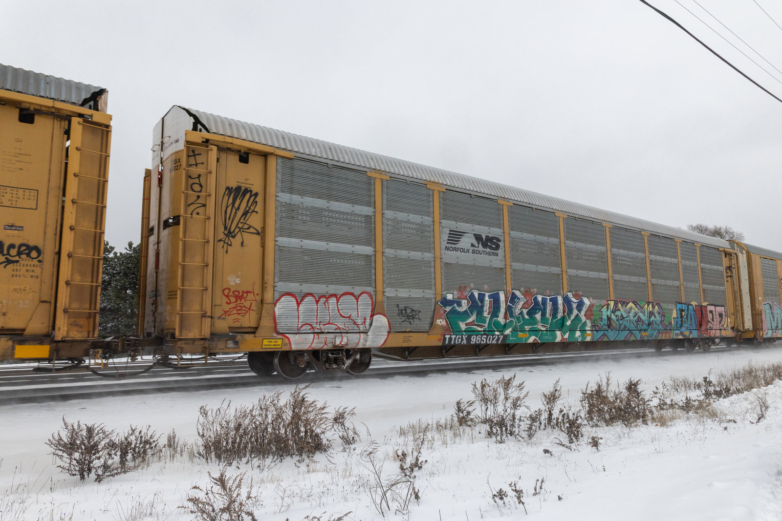 TTGX 965027