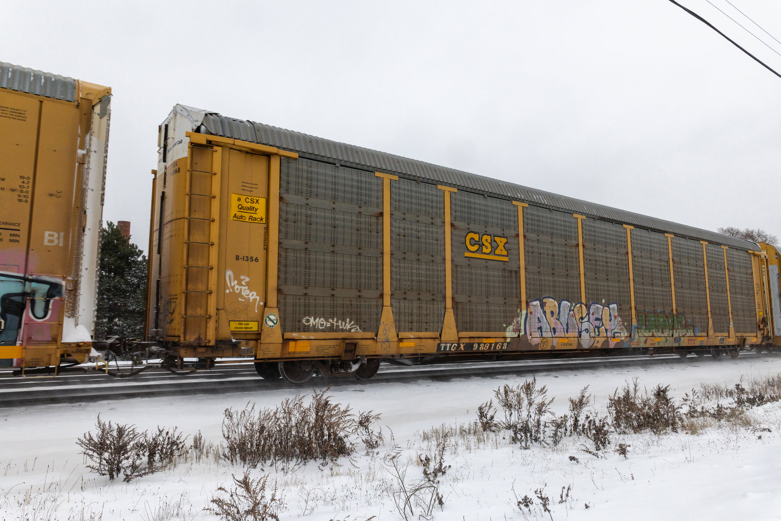 TTGX 988168
