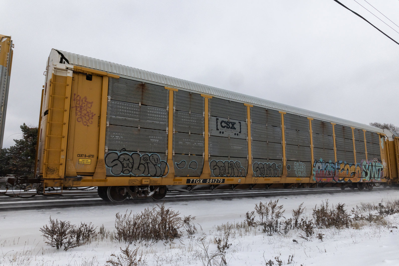 TTGX 981279