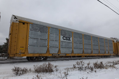 TTGX 980669