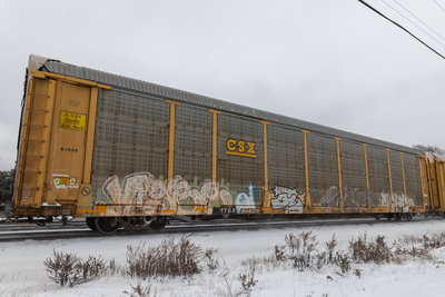 TTGX 994038