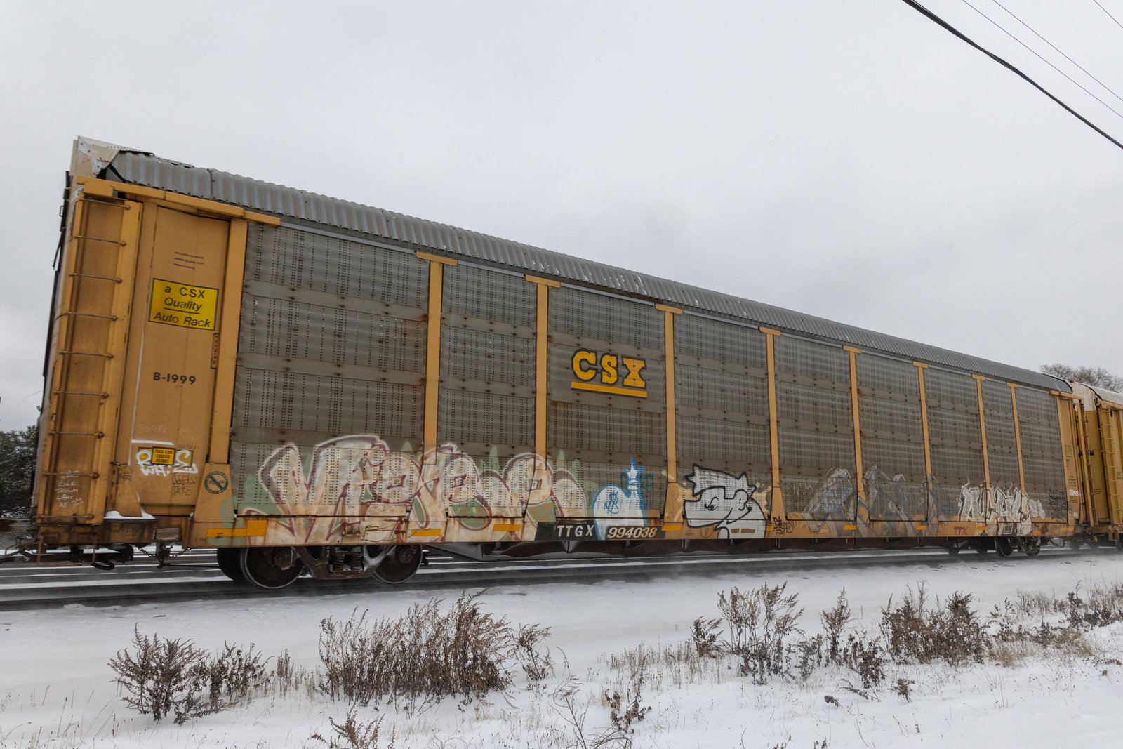 TTGX 994038