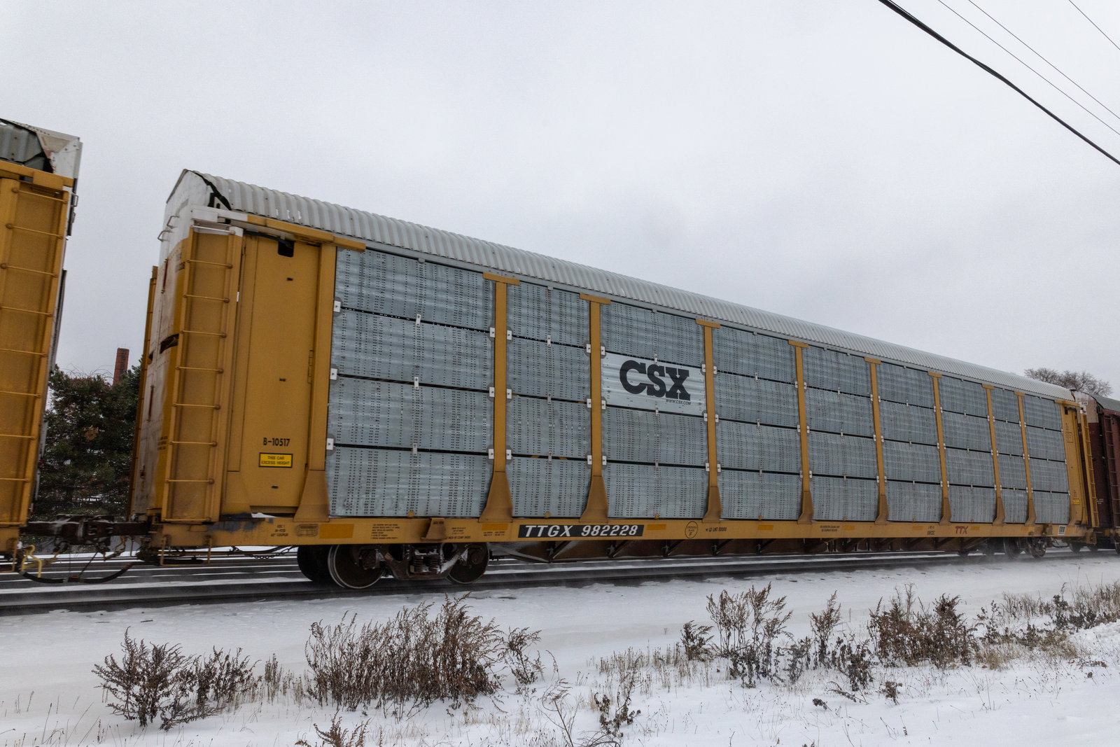 TTGX 982228