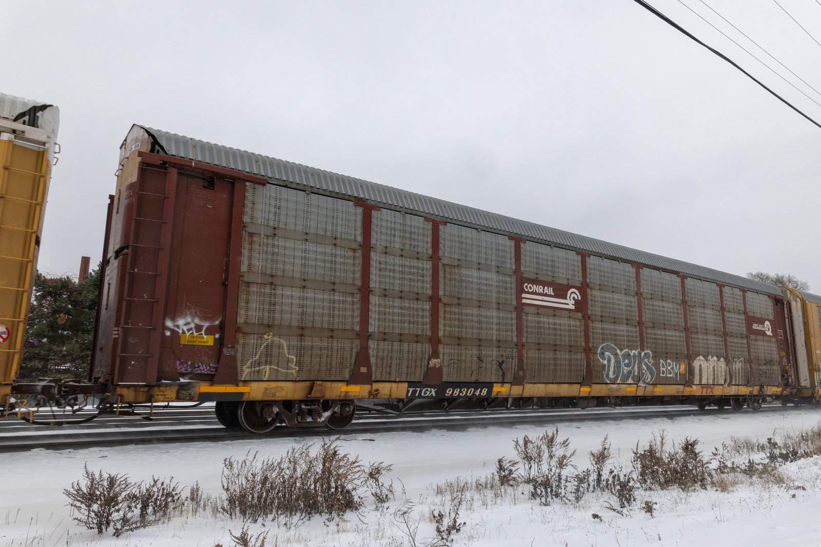 TTGX 983048