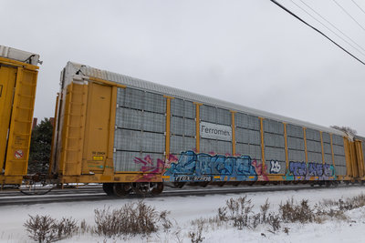 TTGX 973836