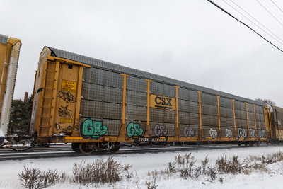TTGX 979229