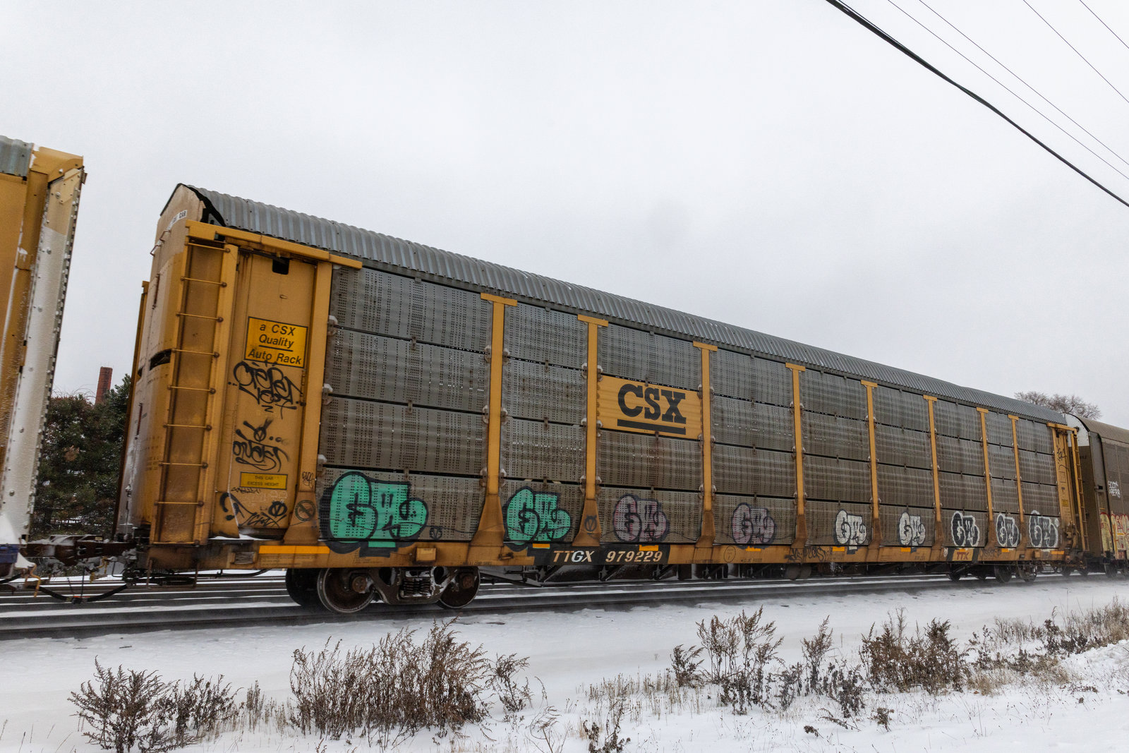 TTGX 979229