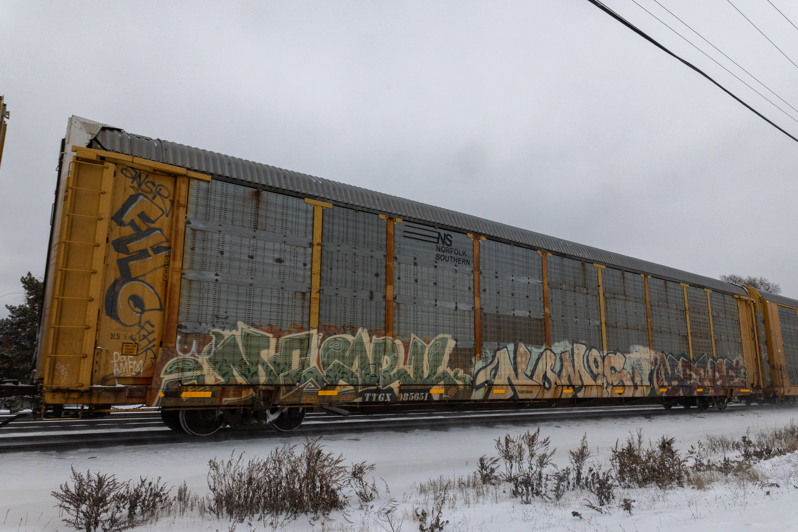 TTGX 985651