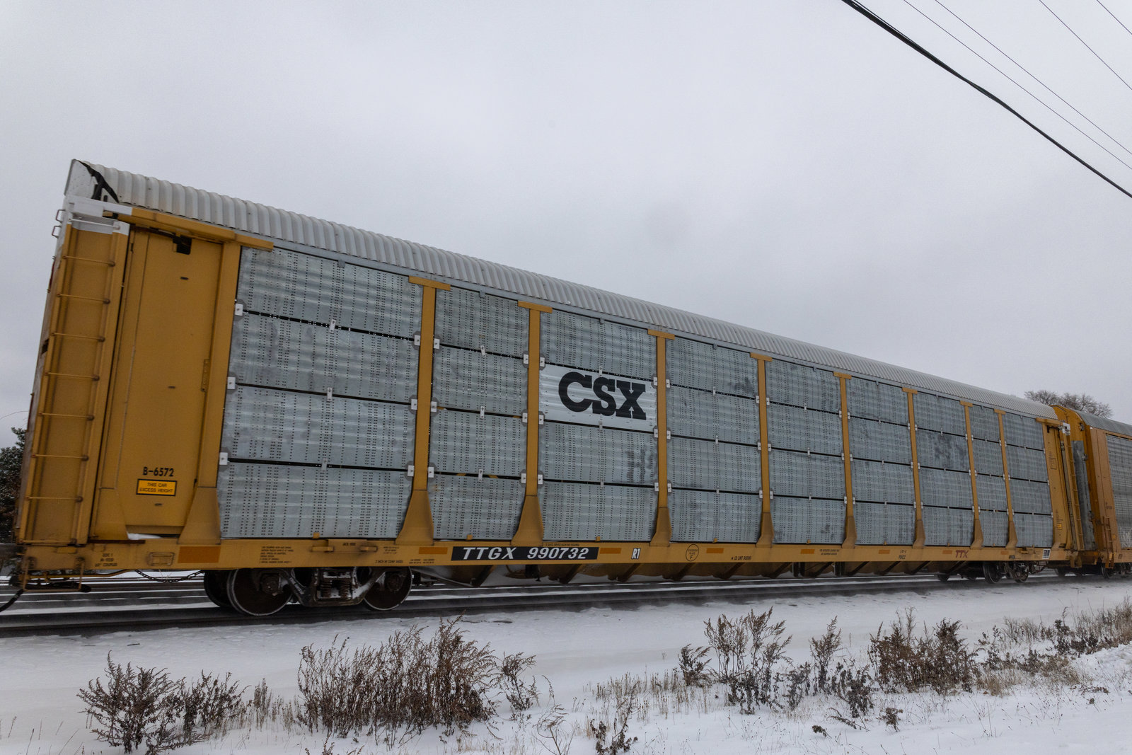 TTGX 990732