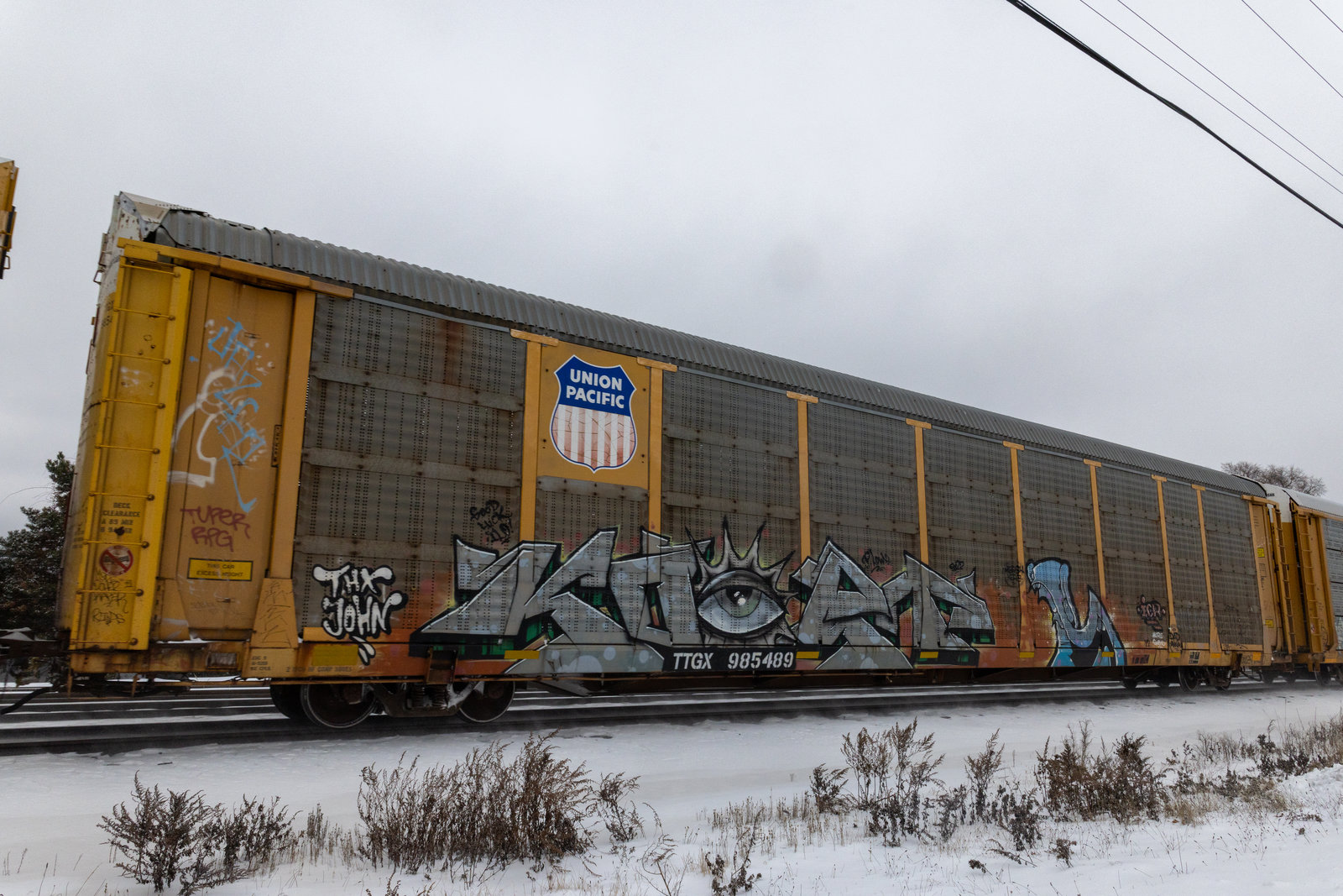 TTGX 985489