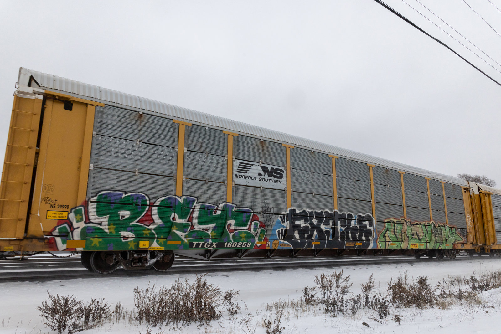 TTGX 160259