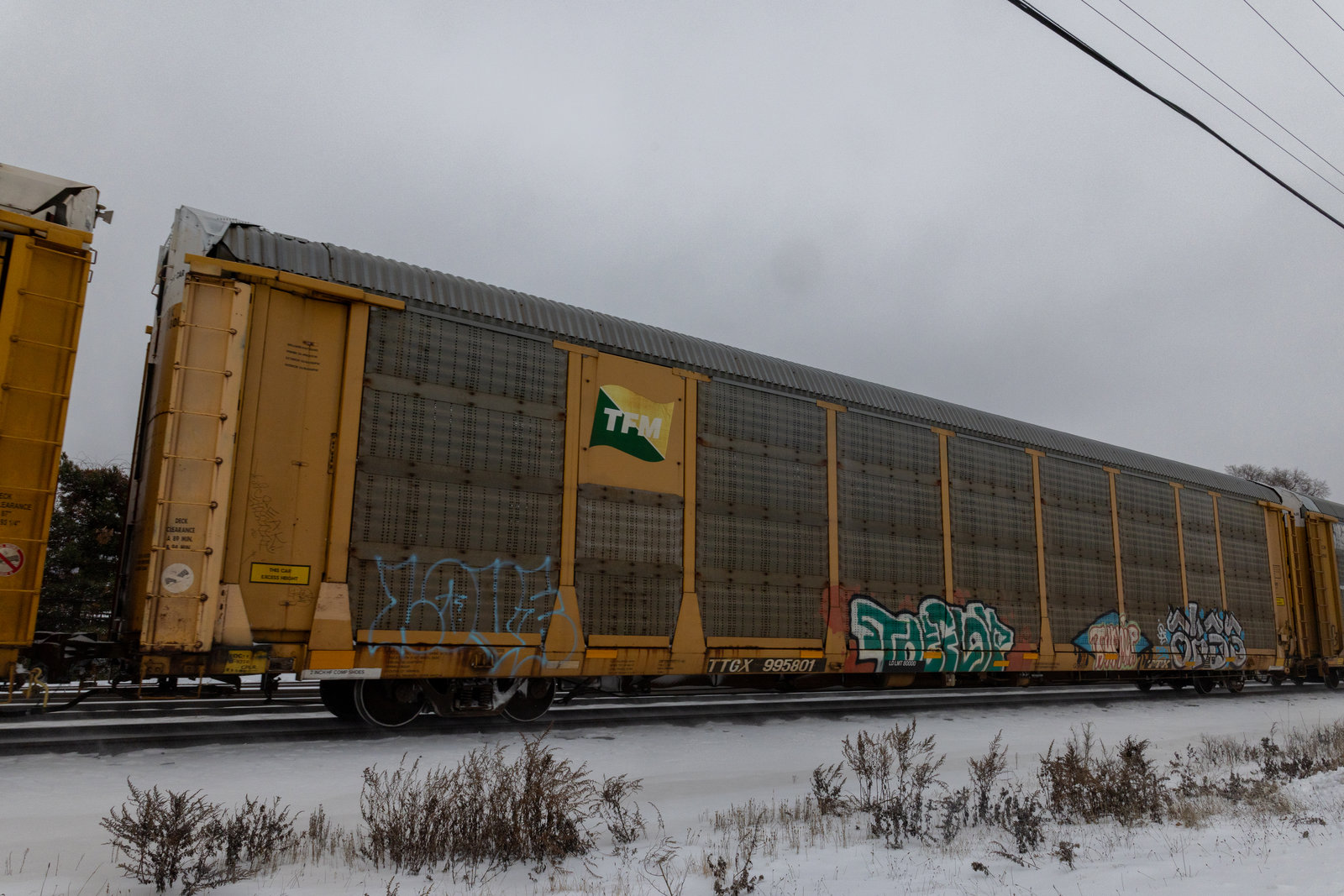 TTGX 995801