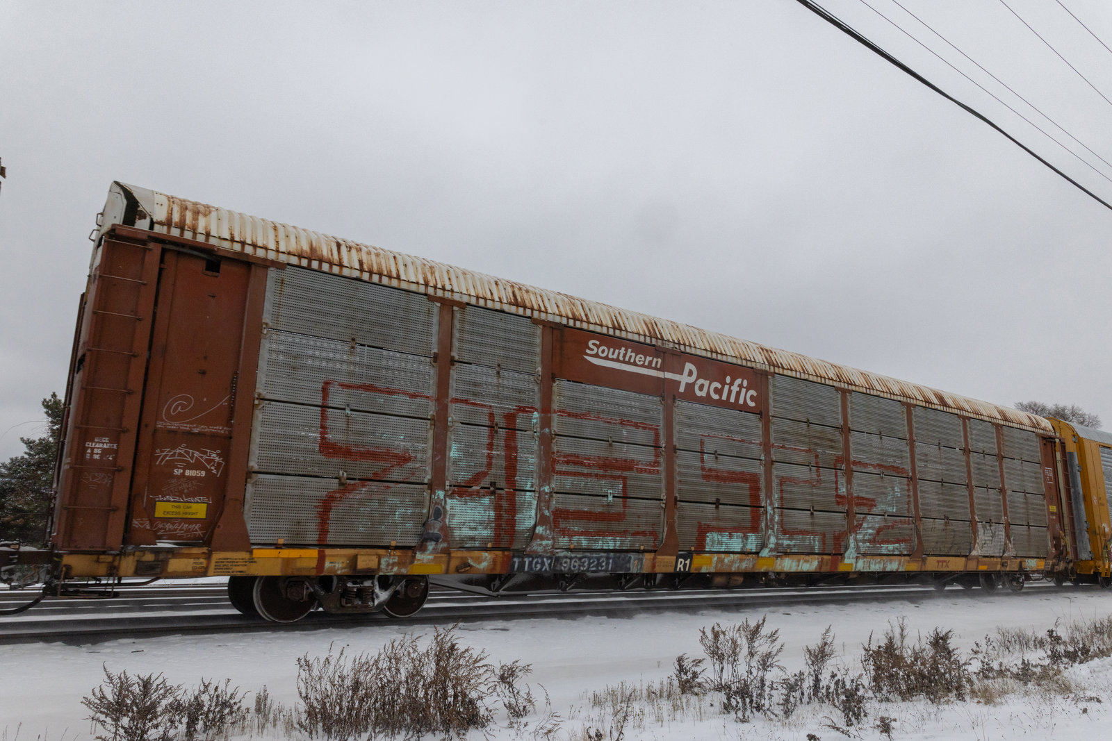 TTGX 963231
