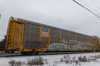 TTGX 985851