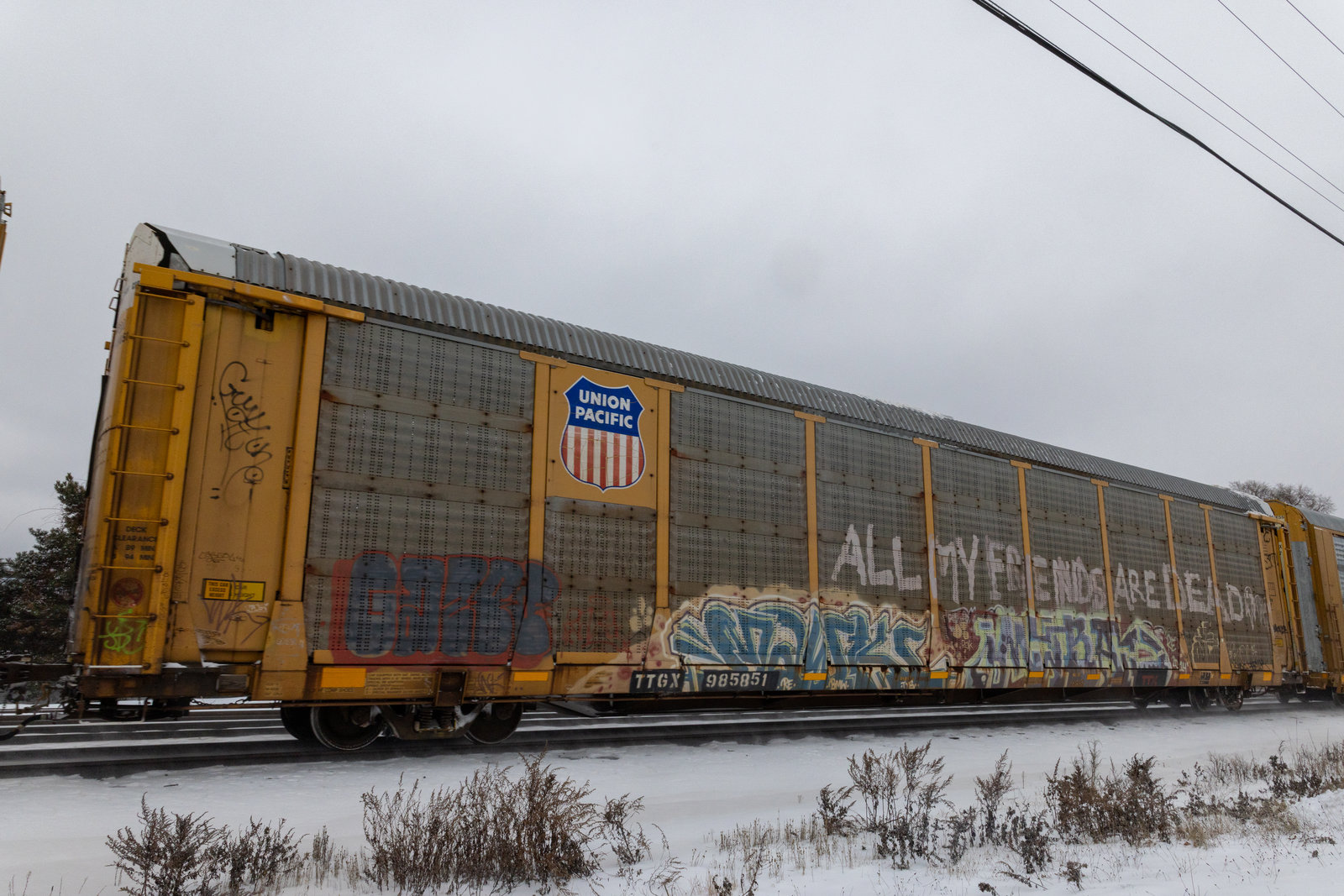 TTGX 985851
