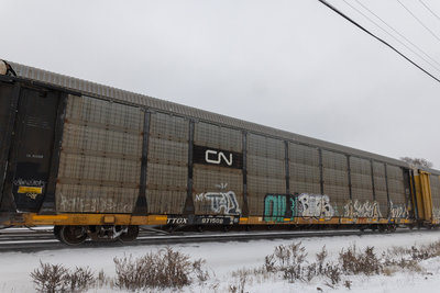TTGX 971509