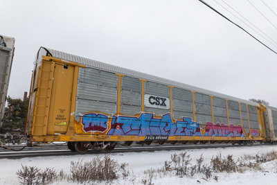 TTGX 991386