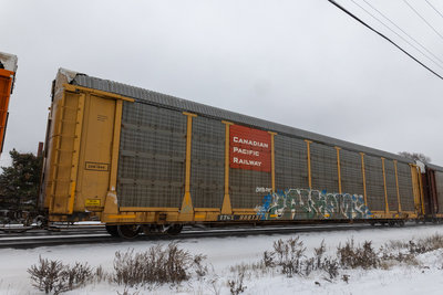 TTGX 988137