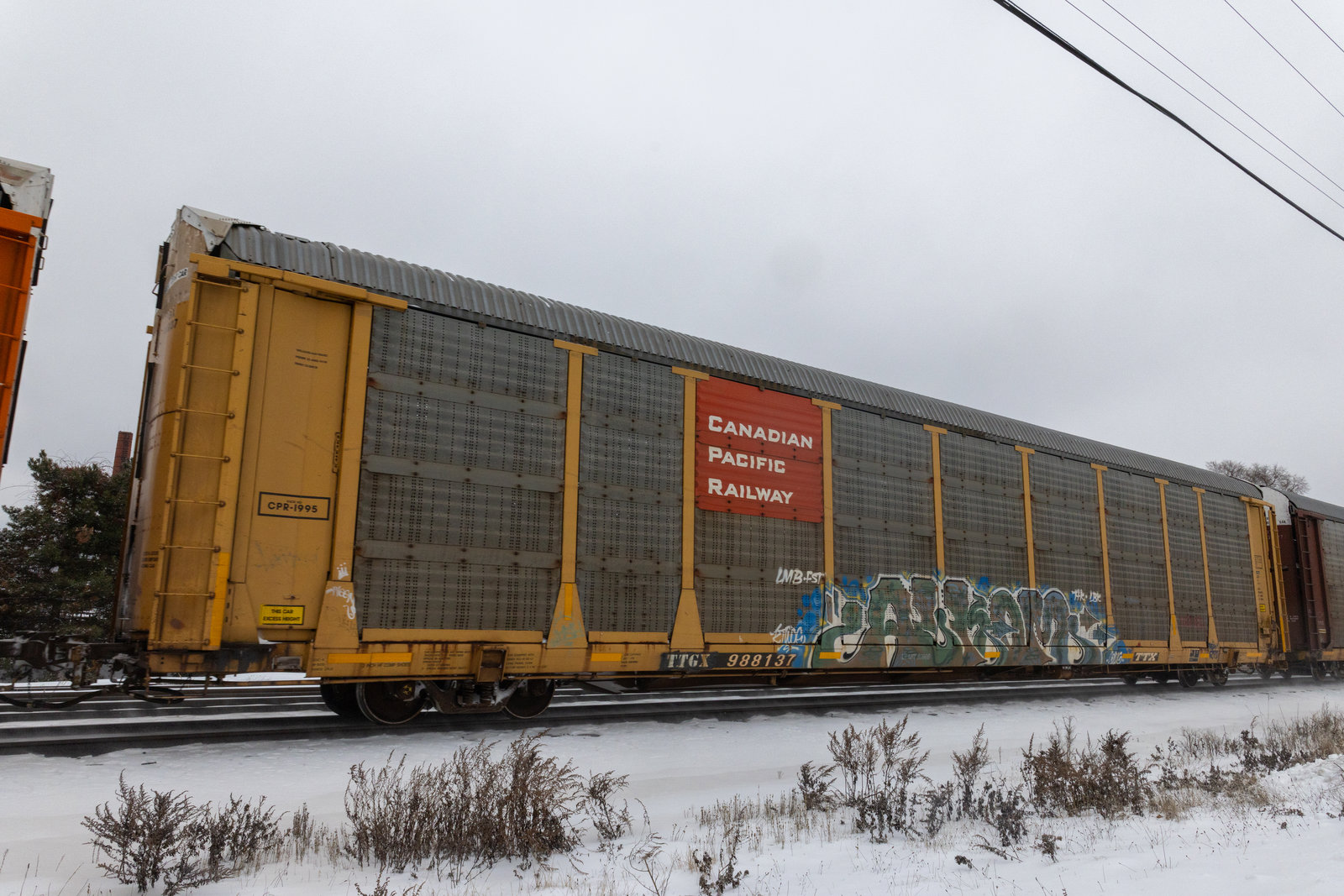 TTGX 988137