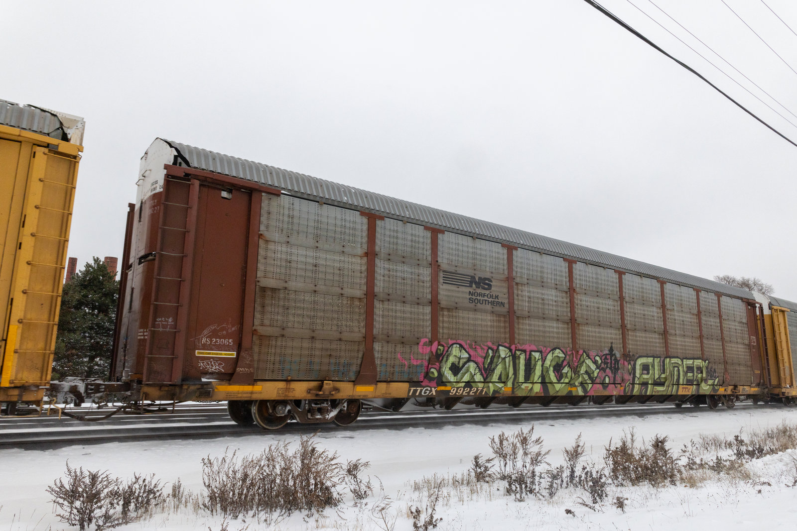 TTGX 992271