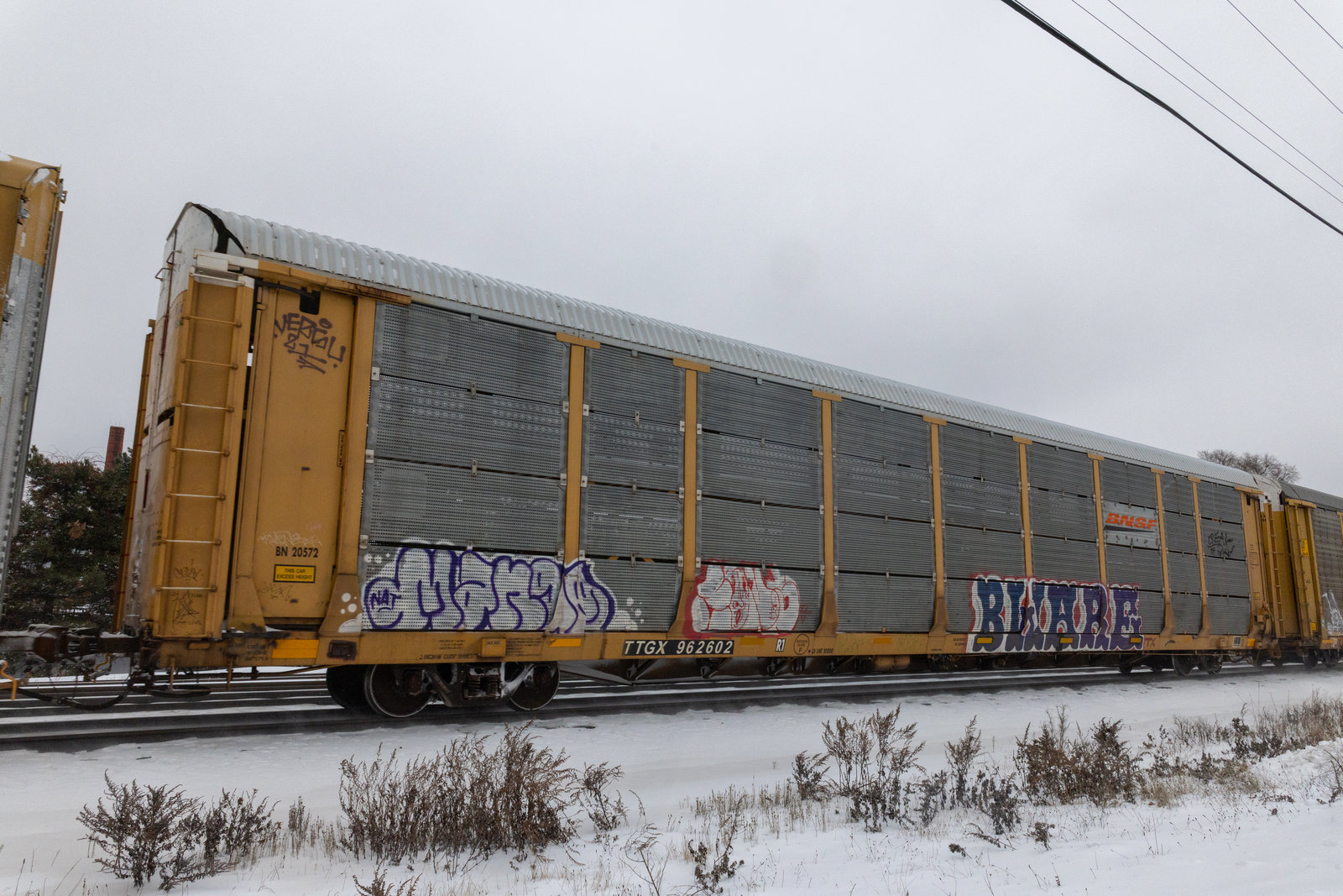 TTGX 962602