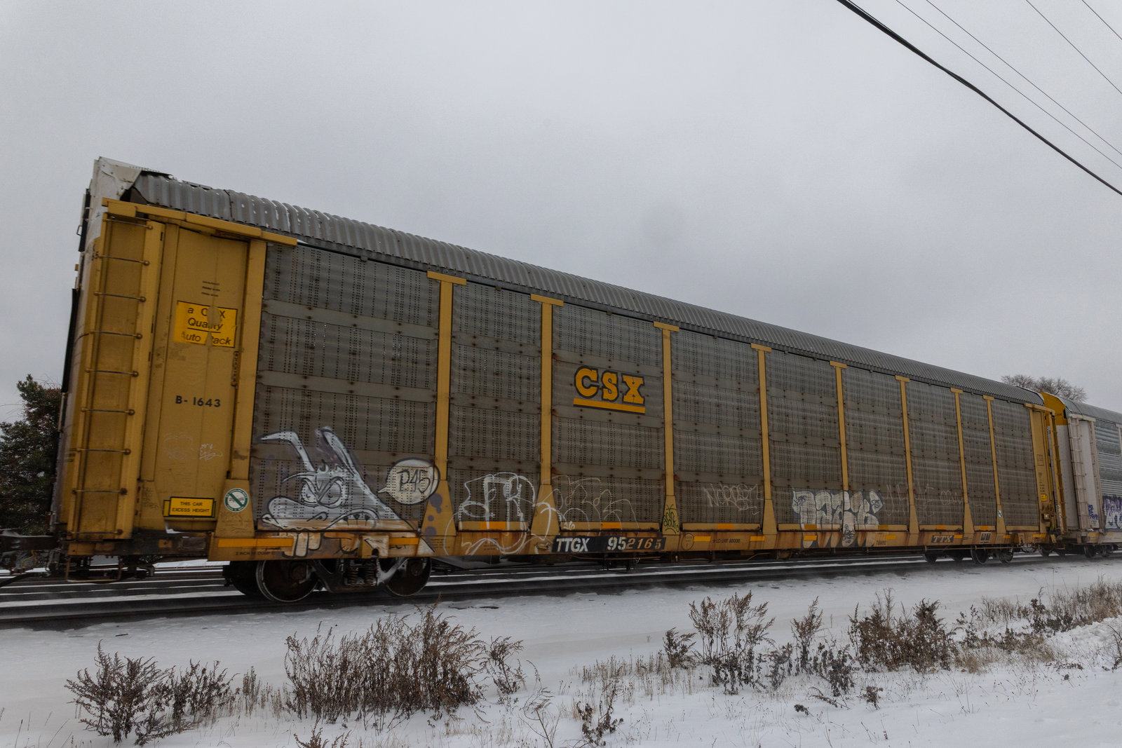 TTGX 952165