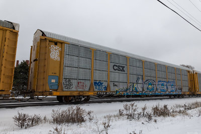 TTGX 971730