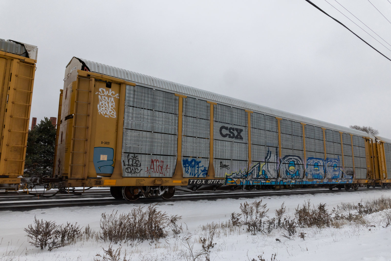 TTGX 971730