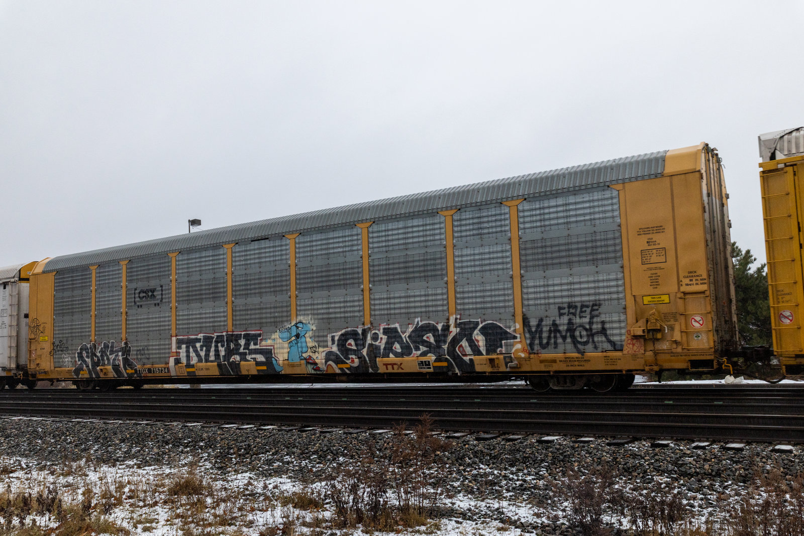 TTGX 715734