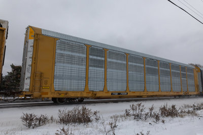 TTGX 717274